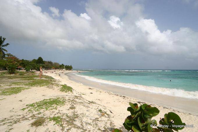 Na praia, entre Saint Anne e Saint-François - Guadalupe