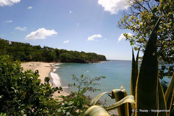 Vista do alto, Leroux praia Balsa em Basse Terre - Guadalupe
