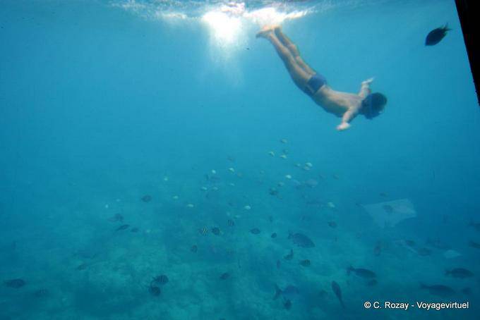 Mergulhador e snorkeling, pombo Îlets - Guadalupe