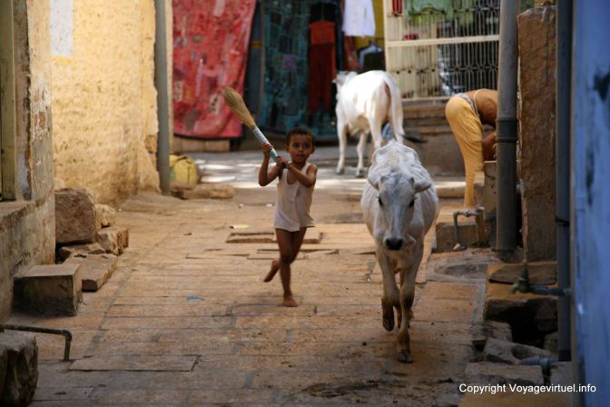 Jaisalmer Citadelle - India