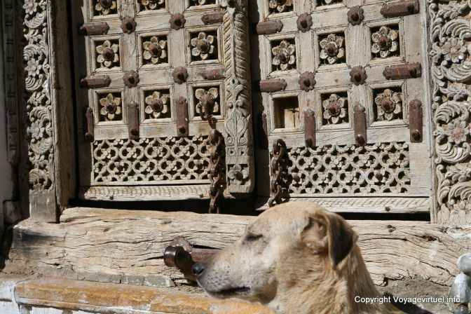 Jaisalmer Citadelle Chien Devant Porte - India