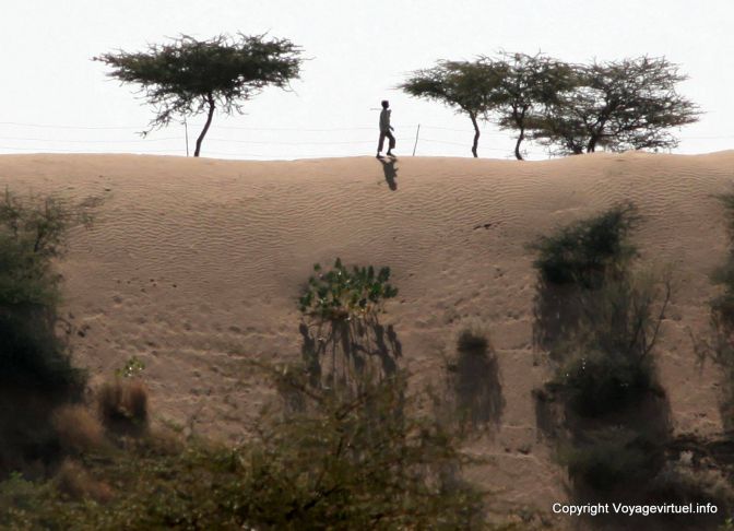 Pokaran Road Passant Du Desert - India