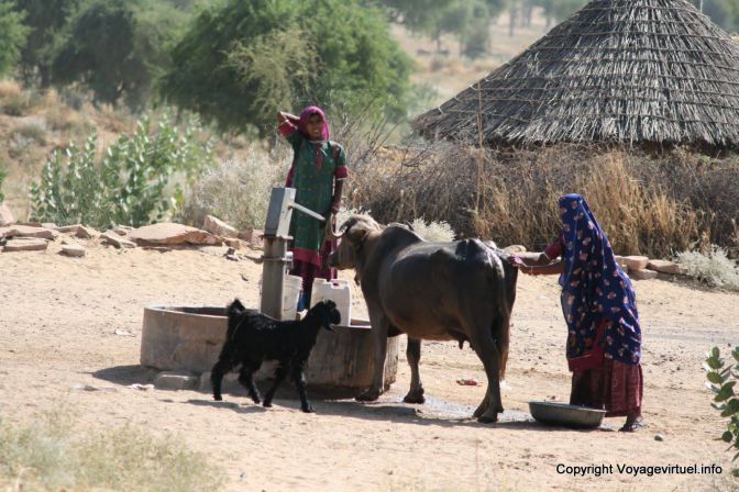 Pokaran Road Toilette Du Betail - India
