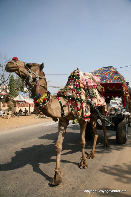 Pushkar - India