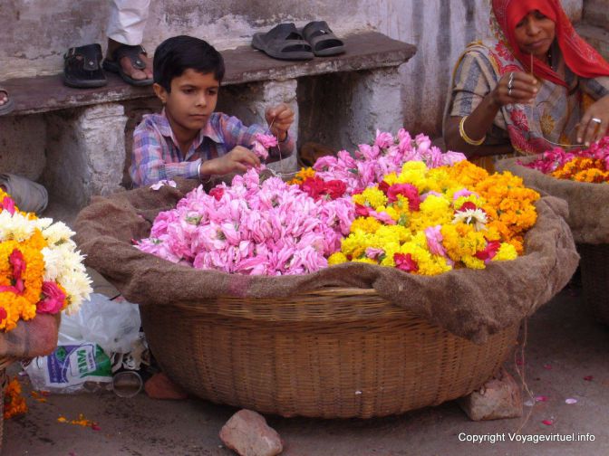 Pushkar - India
