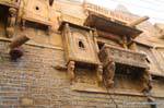 Jaisalmer citadelle.