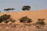 Pokaran road dunes du thar.