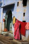 Pushkar.
