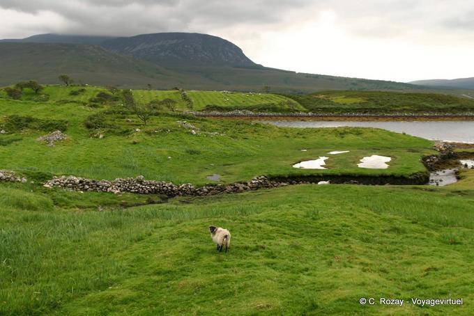 Paisagem na estrada para Mulranny, Mayo - Irlanda