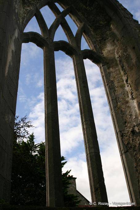 Arquitetura impressionante do Couvent des Cordeliers (Franciscan Friary), Abbey Ennis - Irlanda