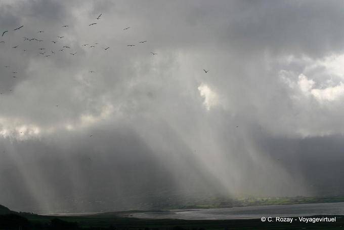 Chuva e pássaros, Lough Gill, Dingle - Irlanda