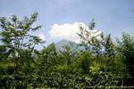 Vegetação e nuvens em um vulcão, Jambewangi, Java, Indonésia.