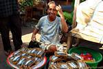 Embalado como sardinhas, mercado de peixe, Banyuwangi, Java, Indonésia.