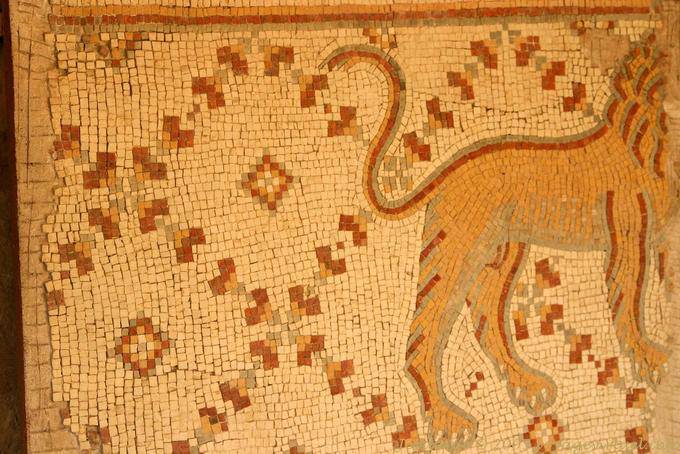 Leão, vista parcial de um mosaico, Madaba - Jordania