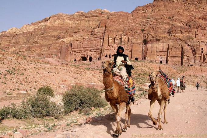Camelo na frente das Tumbas Reais, Petra Khubta - Jordania