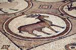 Deer, mosaico da igreja bizantina de Petra, Jordania.
