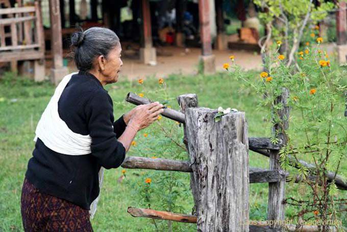 Oração da manhã, Khong Ilha, Laos