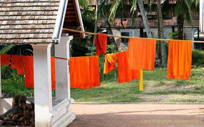 Laranja monge, Wat Sene Soukharam, Luang Prabang, Laos