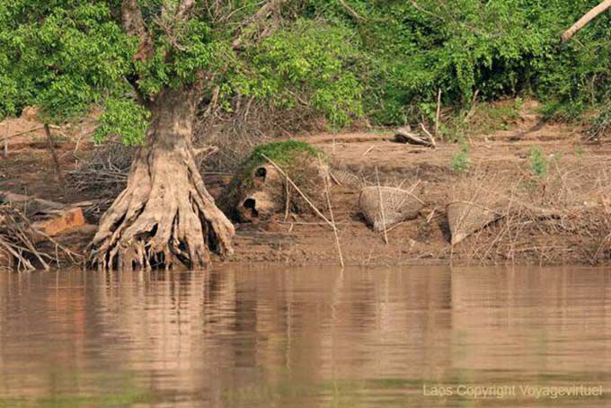 Bancos Paisagem do Mekong, South Laos, Laos