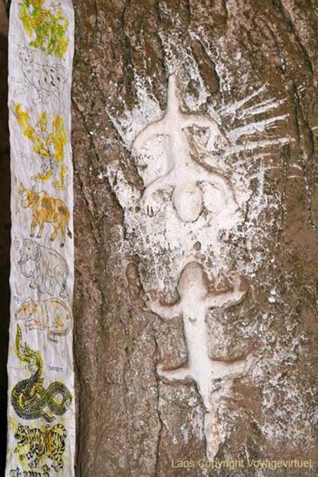 Salamandras, caverna Tham Phum, Pak Ou, Laos