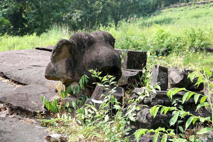 Elefante permanece, Wat Phou, Laos