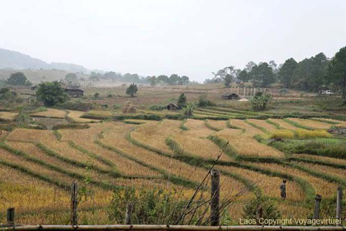Esculpidas campos Xieng Khouang, Laos