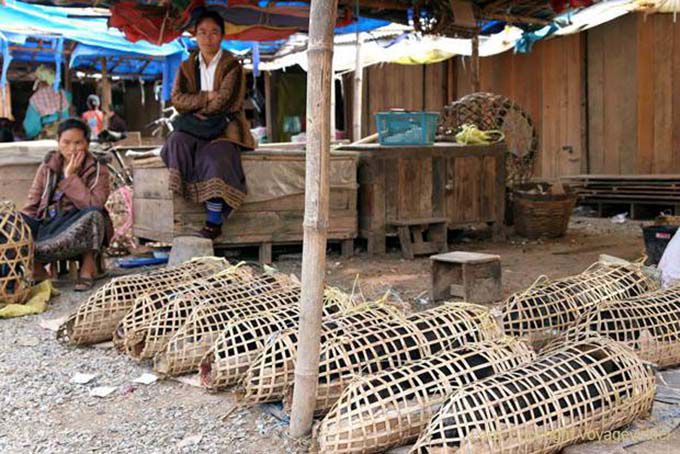 Vendedores do mercado de suínos Phonsavan, Xieng Khouang, Laos