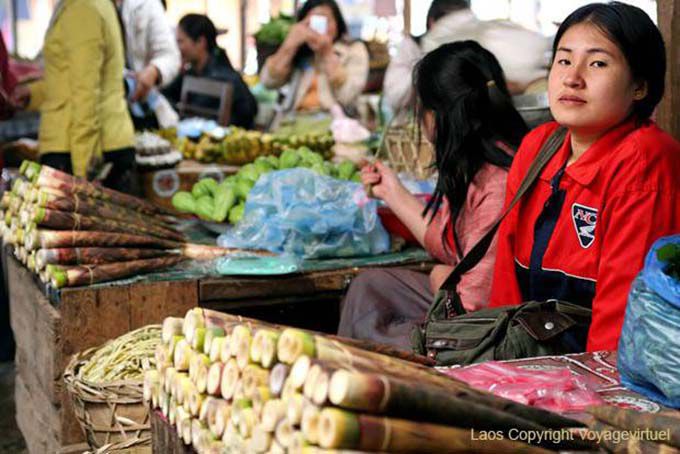 Arroz pegajoso na cana de açúcar, Xieng Khouang, Laos