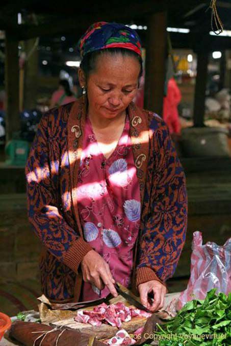 Laos para o corte, Xieng Khouang, Laos