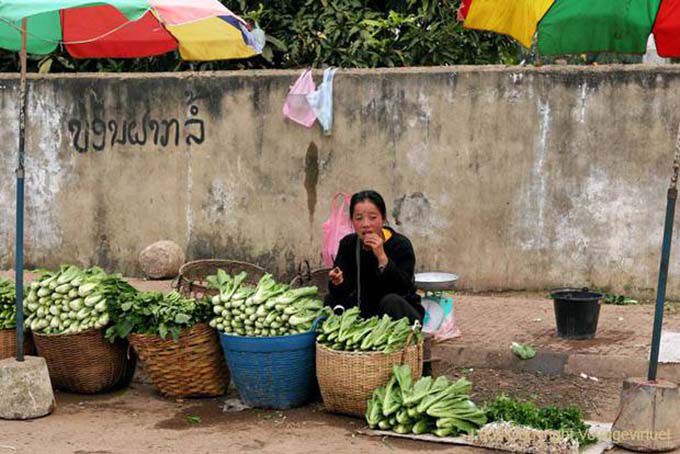 Bom apetite, Xieng Khouang, Laos