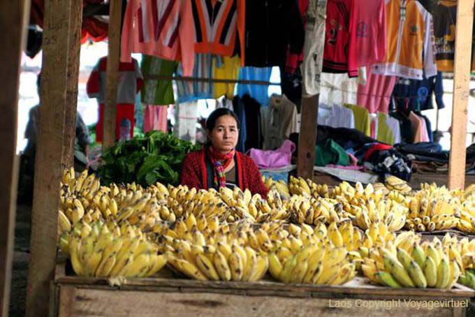 Mulher que vende bananas, Xieng Khouang, Laos