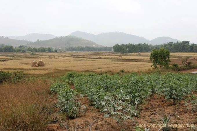 Campo e as montanhas, Xieng Khouang, Laos