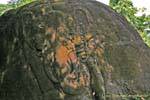 Elefante em baixo relevo na rocha Wat Phou, Laos.