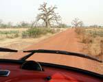Baobab sur la route de San, Mali.