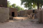Simbi, coq et mulet dans la rue poussièreuse, Mali.