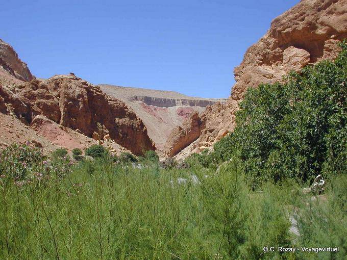 Verdura e aridez do Vale da Rosa - Marrocos