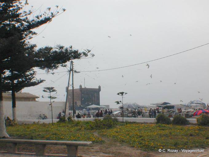 A vista cidadela genovesa de um jardim, Essaouira - Marrocos