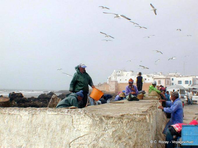 Essaouira, marinheiros trabalhando no porto - Marrocos