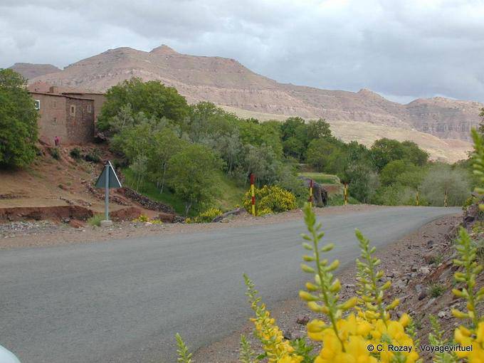 Paisagem verde entre Marrakech e Ouarzazate - Marrocos