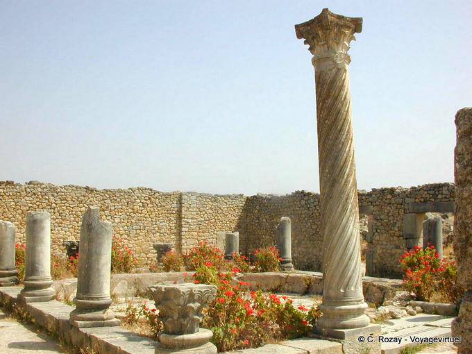 Colunas Volubilis, Casa - Marrocos