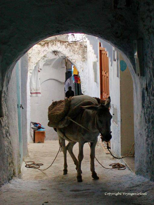 Donkey selado em um beco, Medina, Chefchaouen - Marrocos