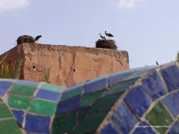 Ninhos de cegonha em uma parede da muralha, Marrakech - Marrocos