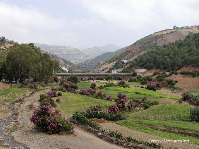 Ponte para Amsa, unidade Tetouan - Marrocos