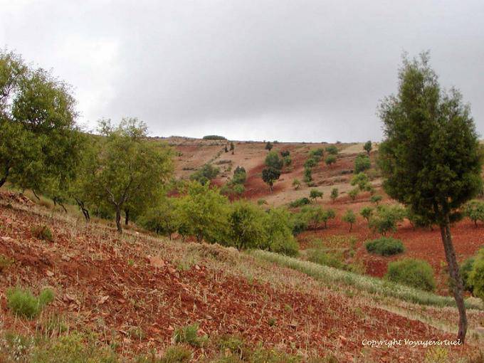 Cores do Rif - Marrocos