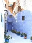 Rua vasos de plantas, Chefchaouen, Marrocos.