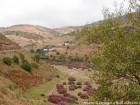Paisagem montanhosa e loendros, Rif, Marrocos.