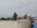 Essaouira, marinheiros trabalhando no porto, Marrocos.