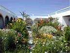 Jardim de flores no pátio de Dar Kenavo, Essaouira, Marrocos.
