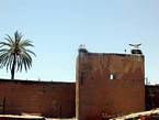 Cegonhas aninhadas nas muralhas, Marrakech, Marrocos.