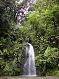A cachoeira Saut Gendarme, Martinica.